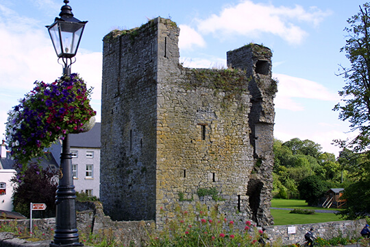 Leighlinbridge Castle